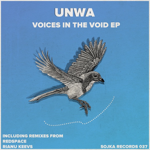 Voices in the Void - Single