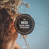 Brisa - Single