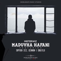 Maduvha HaFani (feat. Captain Zeii SA, Geenkon & Coolfelo) - Single - Misterwiz