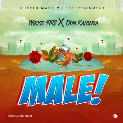 Male (feat. Don kalonga) - Single