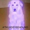 Silver Passage #TH1RDEYEEHOUND (feat. Slug † Christ) - Single