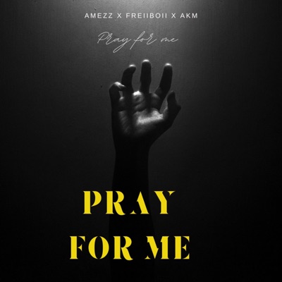 Pray for me (feat. Freiiboi & Akm) - Single