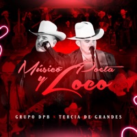 Músico, Poeta y Loco - Single - Grupo DPB & Tercia De Grandes