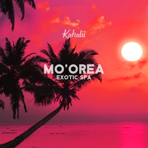 Mo'orea Exotic Spa (Polynesian Hang Drum)