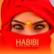 Habibi artwork