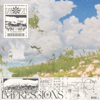 Impressions - Single - Flakes & WEI