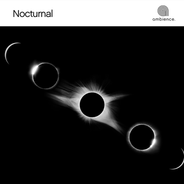 Nocturnal - EP