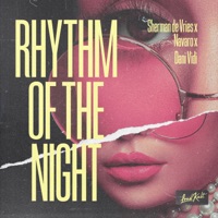 Rhythm of the Night - Single - Sherman de Vries, Navaro & Dani Vidi