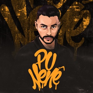 Paga Pra Ver (feat. Mc Neguin da BRC)