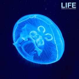 Life Remulak & Robohands