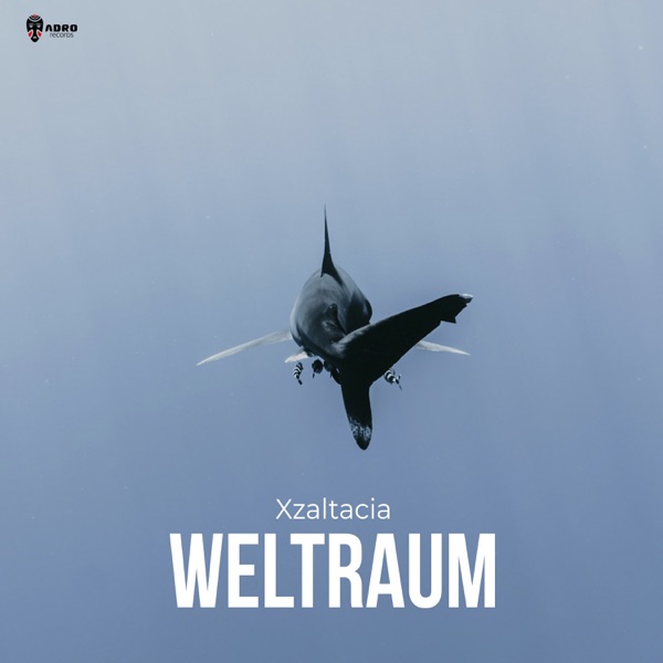 Weltraum - Single