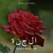 الجنة (feat. Muhammad Bashar) - Dima Bashar lyrics