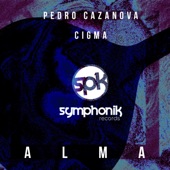 Alma (CIGMA Remix) artwork