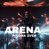 Pitoma Zver - Single