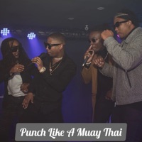 Punch Like a Muay Thai - Single - Os Intocáveis