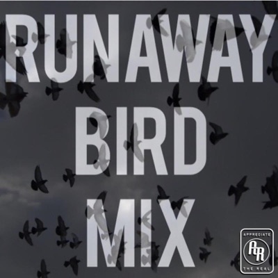 RunAway Bird - Single