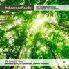 Arie Van Beek D'un matin de printemps The Sound of Trees