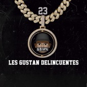 Les Gustan Delincuentes Beat El J23 artwork