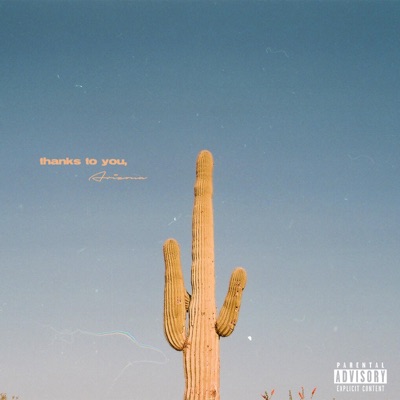 thanks to you, Arizona - EP