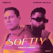 Softly (Tiësto Remix) artwork