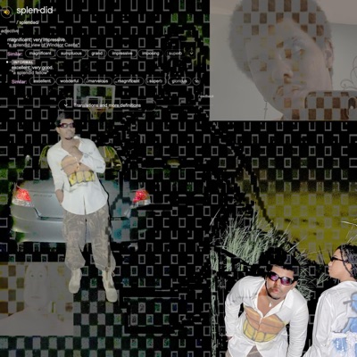 splendid! (feat. Zamir) - Single