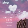 Tomake Chuye Dilam (Unplugged) - Single