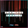 Can You Feel It - T-Mass & Enthic