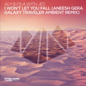I Won't Let You Fall (Aneesh Gera Galaxy Traveler Ambient Remix) artwork