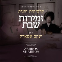 Z'Miros Shabbos - Single - Yaakov Stark