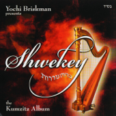 שוואקי בהתעוררות - Yaakov Shwekey