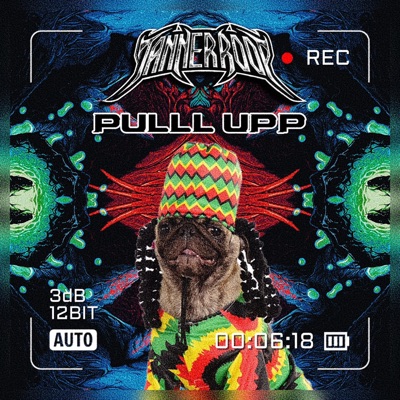 Pulll Up - Single