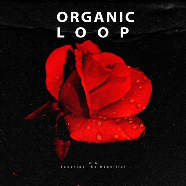 Touching the Beautiful - Single