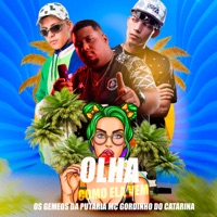 Olha Como Ela Vem - Single - Os Gemeos da Putaria & Mc Gordinho do Catarina