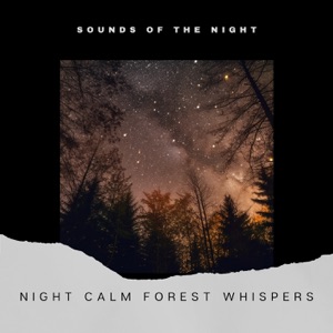 Night Calm: Forest Whispers
