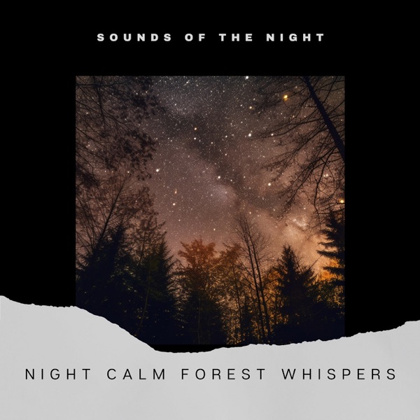 Night Calm: Forest Whispers