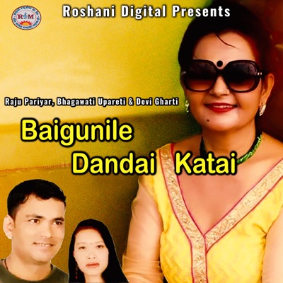 Baigunile Dandai Kateni - Single
