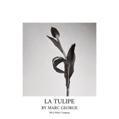 La Tulipe artwork
