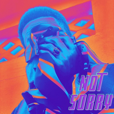 Not Sorry - Single