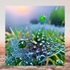 Morning Dew - Single