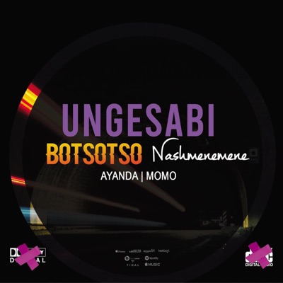 Ungesabi (feat. Botsotso, Ayanda, Momoe & Kbrilliant) - Single