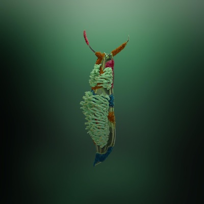 Wasting My Time - Single