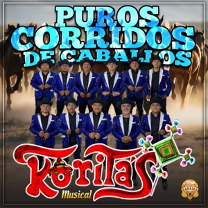 Puros Corridos De Caballos