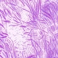 Empty Words - Single - Postmark