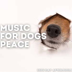 Dog Day Afternoon