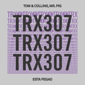 Esta Pegao (Extended Mix) artwork