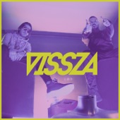 Vissza artwork