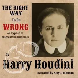 The Right Way to Do Wrong: An Expose of Successful Criminals (Unabridged)