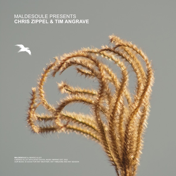 Maldesoule Presents 002: Chris Zippel & Tim Angrave (DJ Mix)