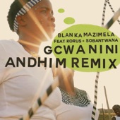 Gcwanini (Andhim Remix) artwork