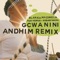 Gcwanini (Andhim Remix) artwork